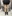 顔の脂肪溶解注射（小顔注射） — ロリポップ美容外科クリニック