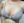 乳房固定術（バストリフト） — 術後 (30日) · ライアン美容外科クリニック