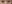 裏ハムラ法（経結膜的眼窩脂肪移動術） — アンド美容外科クリニック