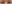 眉毛挙上術（ブロウリフト） — エイペックス美容外科クリニック