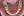 Clippy-C self-ligating ceramic braces (TOMY) — after (194days) · Lucent Dental Clinic
