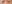 裏ハムラ法（経結膜的眼窩脂肪移動術） — アンド美容外科クリニック