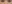 裏ハムラ法（経結膜的眼窩脂肪移動術） — ファクト美容外科クリニック