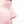 revision rhinoplasty — after (7days) · Sugar Plastic Surgery